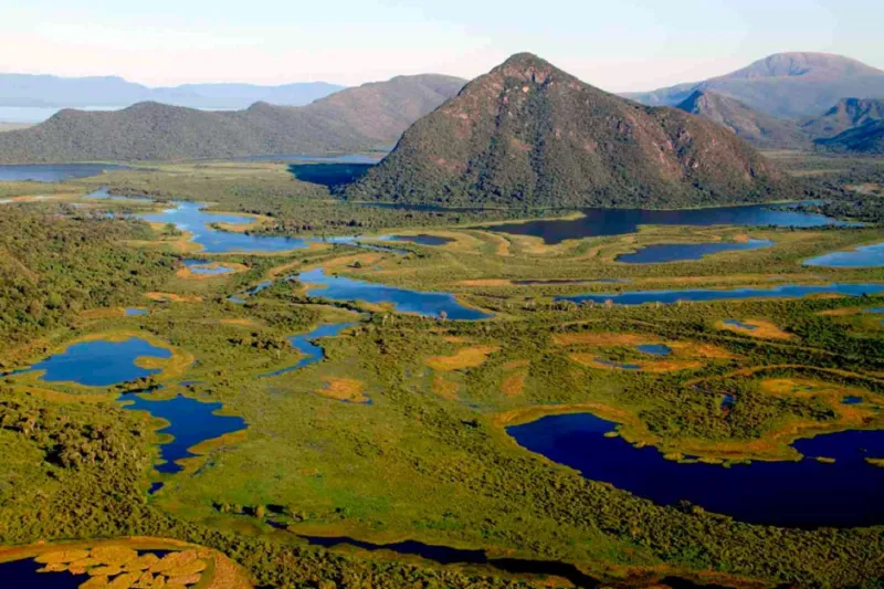 بانتانال تمتع برؤية الحياة البرية عن كثب