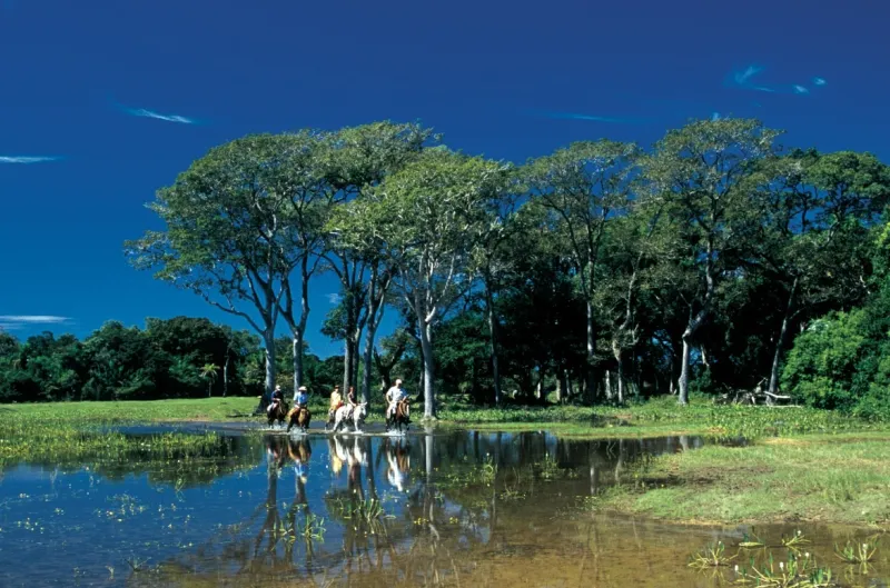 بانتانال تمتع برؤية الحياة البرية عن كثب