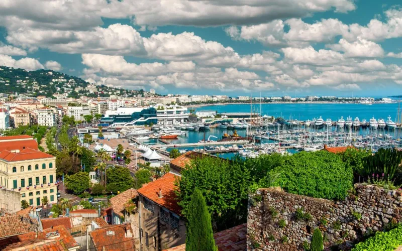 بعد أن تُطوى البسط الحمراء في مدينة كان