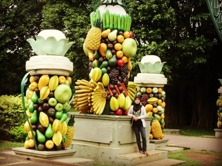 حديقة ميكارساري اقطف ثمار الفاكهة بنفسك