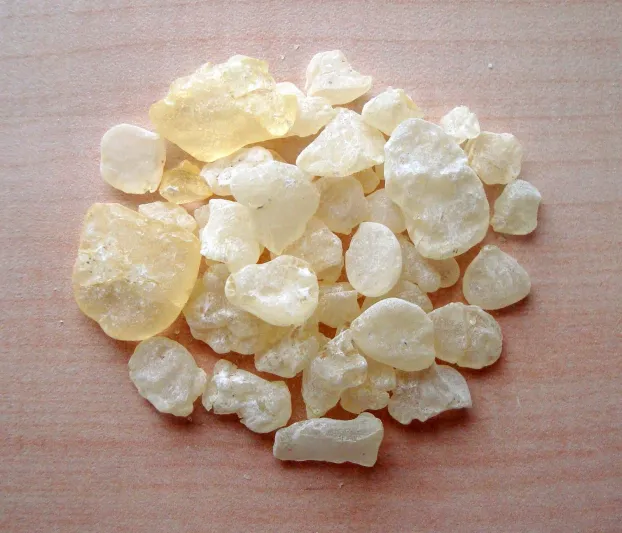 ما هي المستكة تعرف على فوائدها المذهلة 