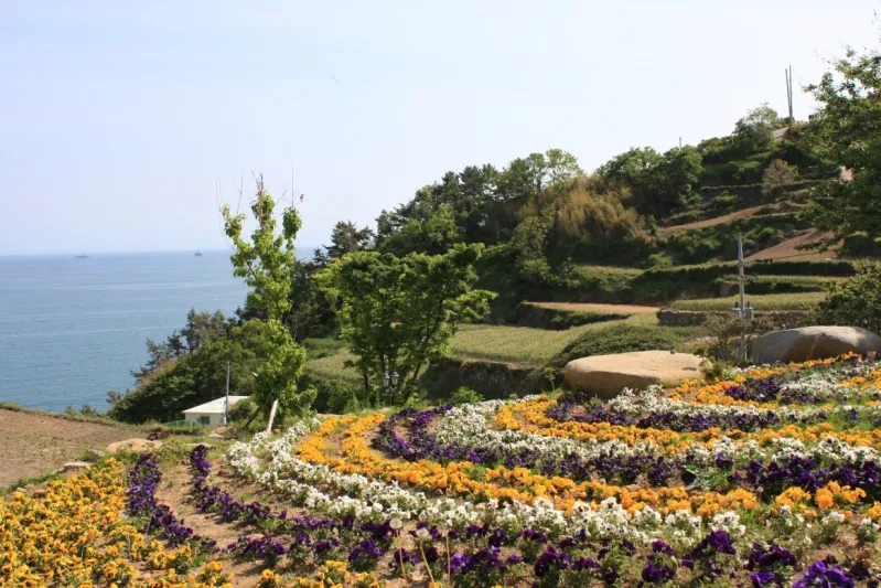 قرية درانجي هدوء بعيد عن صخب المدينة