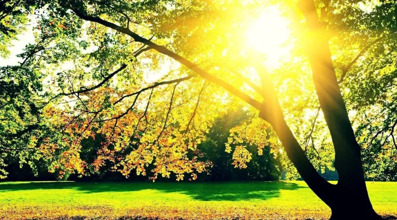 رامنا بارك أجمل حدائق بنغلادش