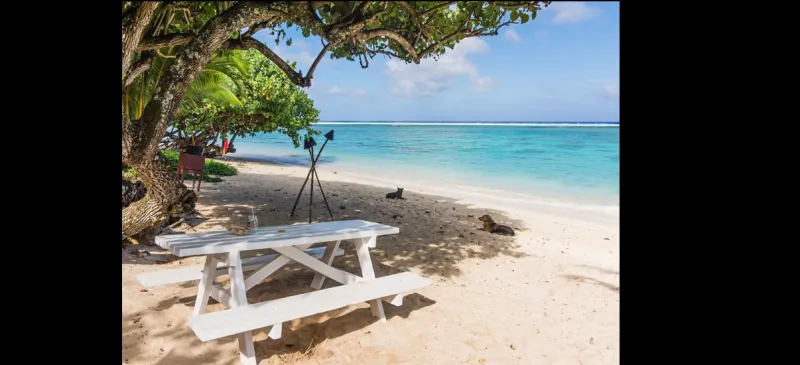 وجهات للراحة والإسترخاء والتخلص من السموم 