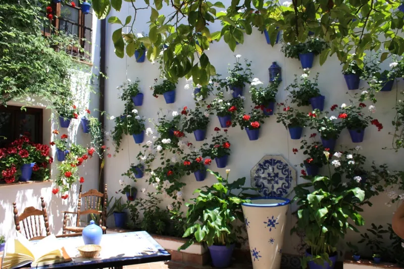 الزهور تكلّل مهرجانات العالم في هذه الأشهر فلا تفوّتها عليك