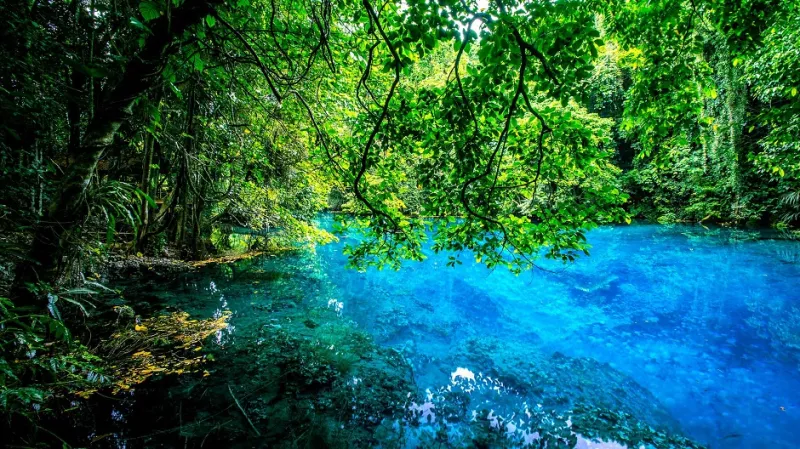 جزر فانواتو أرخبيل الجمال