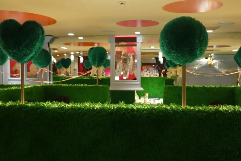 تناول غداءك في بلاد العجائب