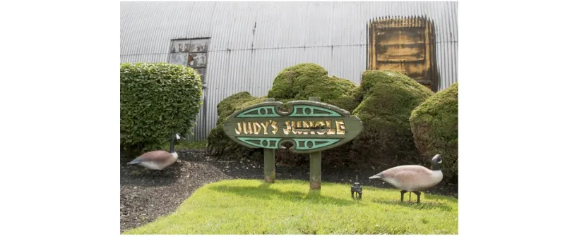 غابة جودي الزجاجية في اوهايو