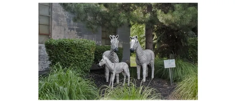 غابة جودي الزجاجية في اوهايو