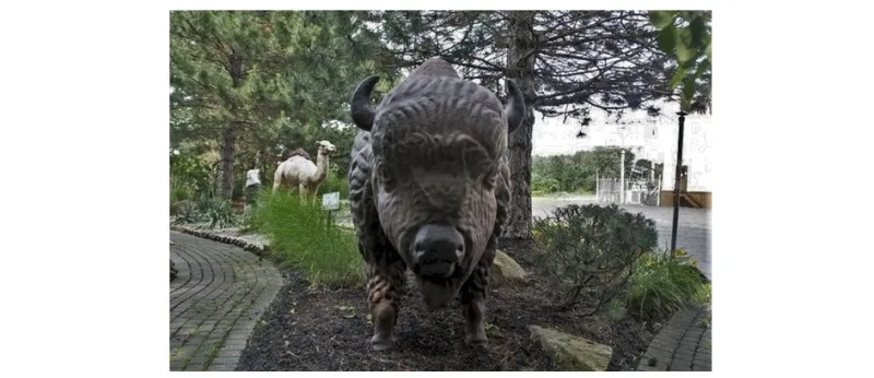 غابة جودي الزجاجية في اوهايو