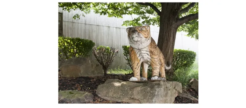 غابة جودي الزجاجية في اوهايو