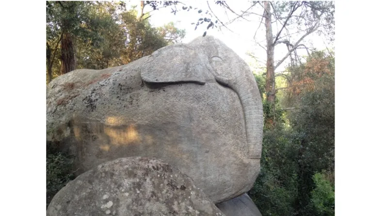 غابة أوريوس المسحورة