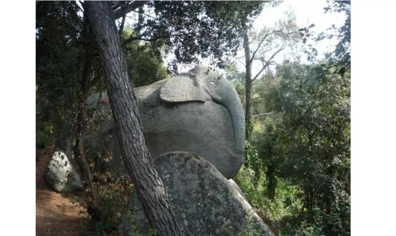 غابة أوريوس المسحورة