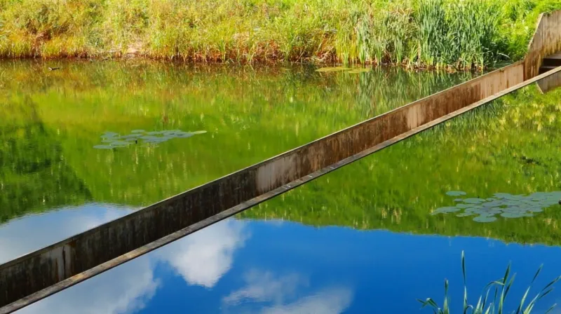 في هولندا أين نسير إذا غرق جسر موسى