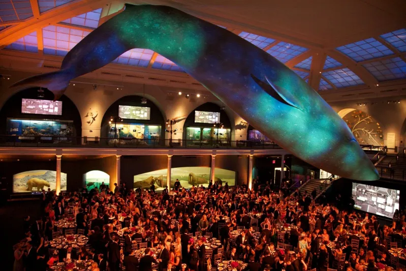 ليلة في المتحف الأمريكي للتاريخ الطبيعي