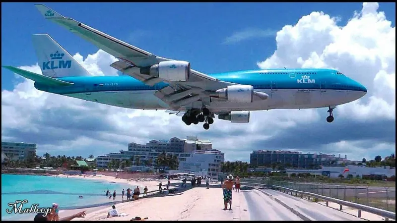 شاطئ ماهو لحظات من الفزع تنسيك روعته