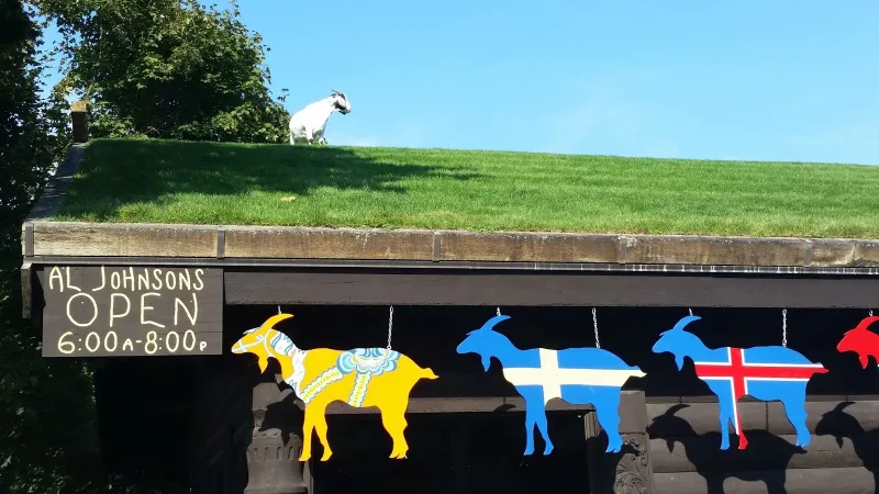 مطعم التيوس في منطقة دور باي في وسكنسن أمريكا