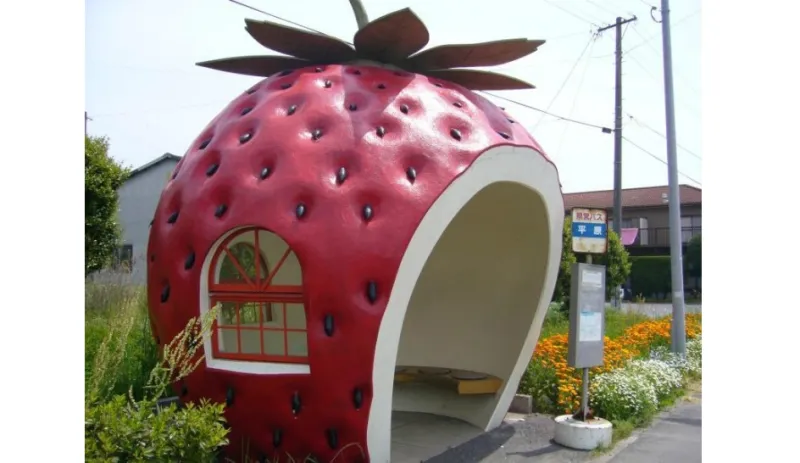 انتظر الباص داخل فاكهة