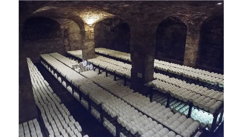 الظلمة والروائح النفّاذة في أفيرون تجربة لا تفوّت