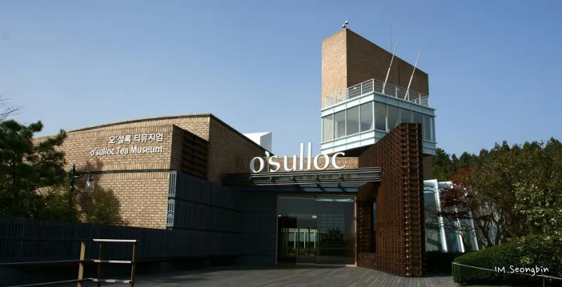 جزيرة جيجو واستقبال الشاي الأخضر