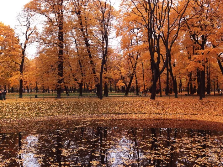 خمس خطوات في سان بطرس بورج ولن تنساها أبداً