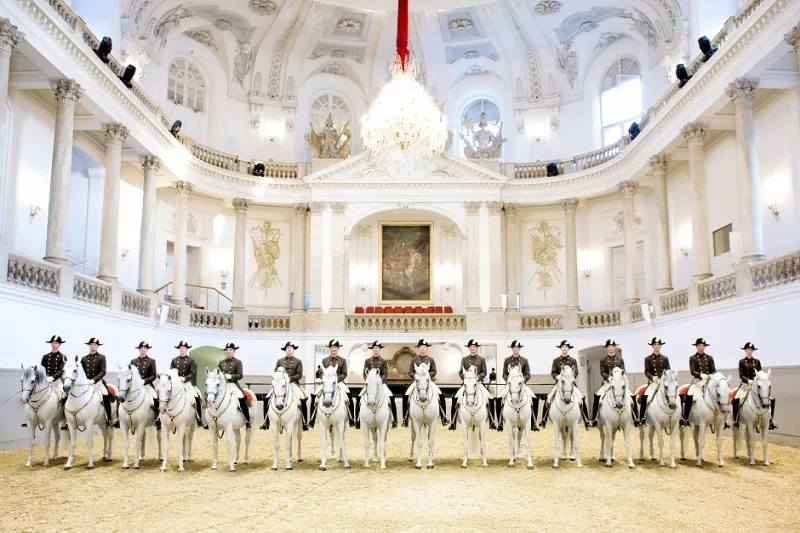 مدرسة الفروسية الإسبانية الخيول التي لا تخطئ