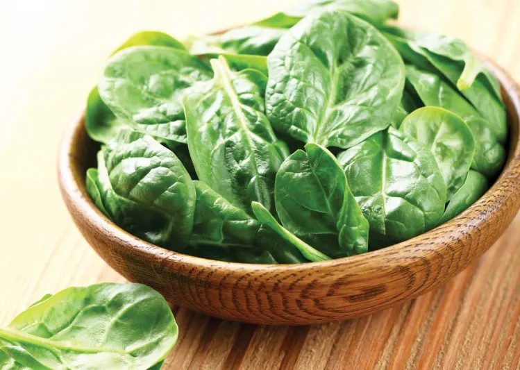 ما العلاقة بين السبانخ والمتفجرات