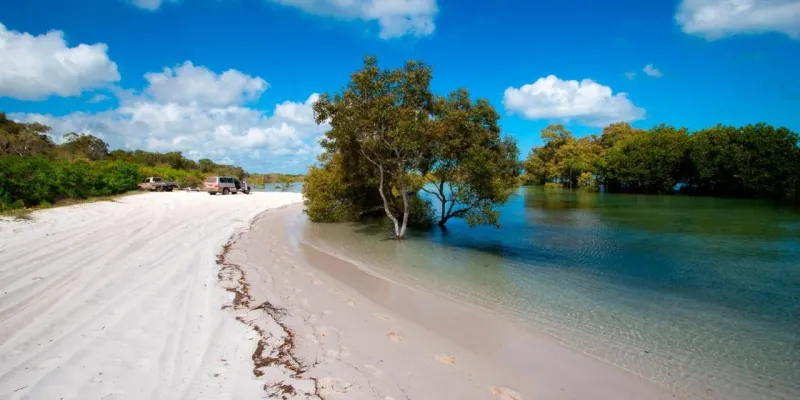 جزيرة فريزر زهور ورمال