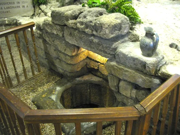 ودّع الشيخوخة في فلوريدا