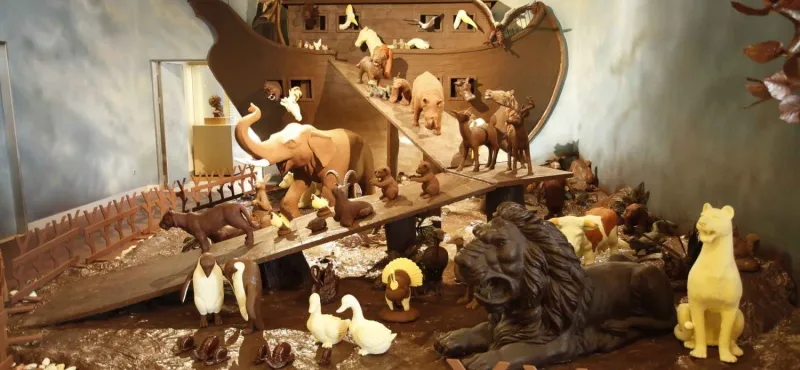 مصنع بليت وتركيا المحلاة