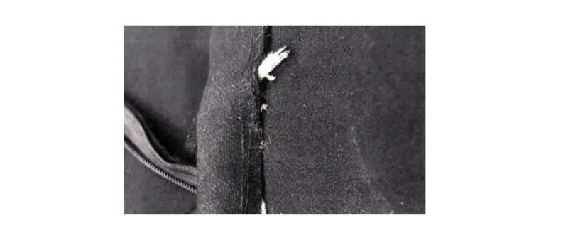 بالصور سيدة تقاضي Zara  بعد أن وجدت فأراً في معطفها