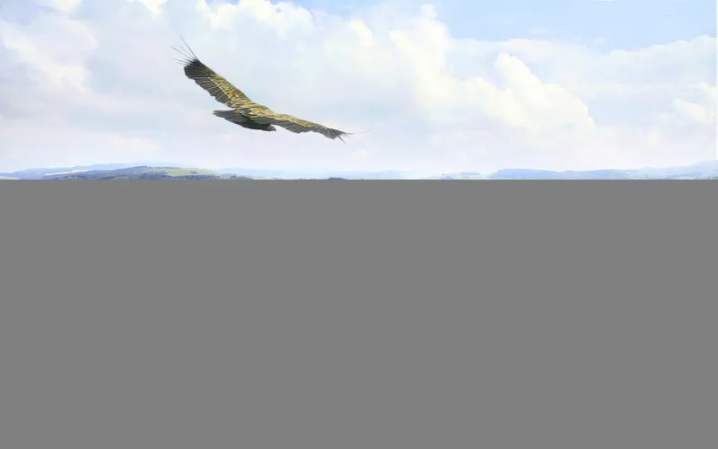 محمية أوفاك والنهر المتعرج