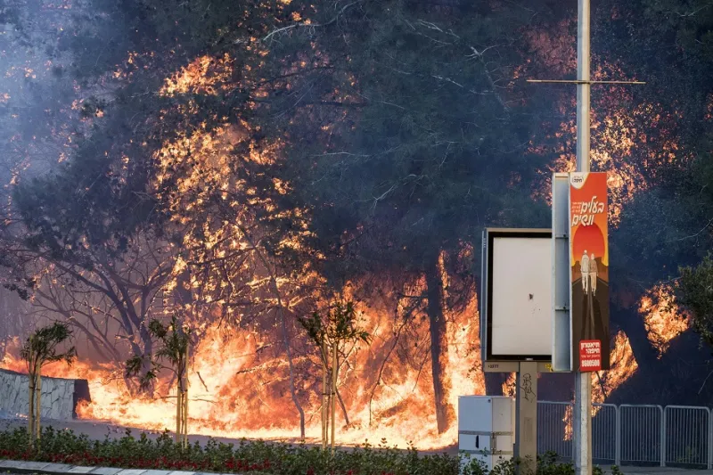 13 حقيقة عن النيران التي التهمت إسرائيل