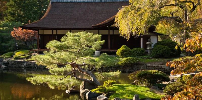 منزل شوفوزو اليابان في أمريكا