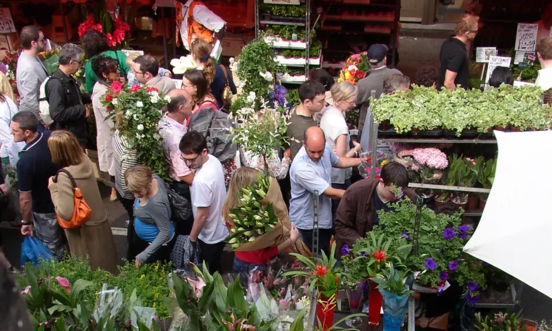 متاجر الورود في عاصمة الضباب