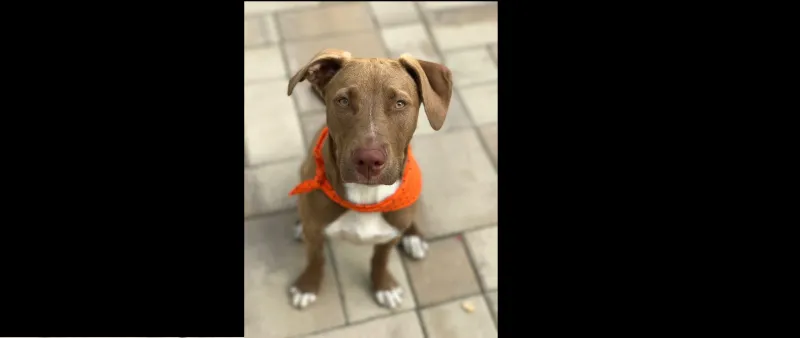 عندما يستخدم المصورون المحترفون الايفون 7 بلس 