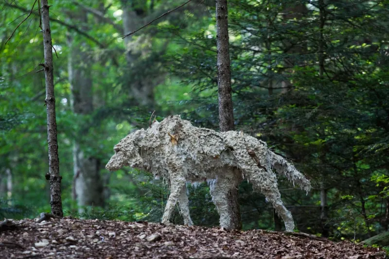 متحف أرت سيلا من الطبيعة وفي أحضانها