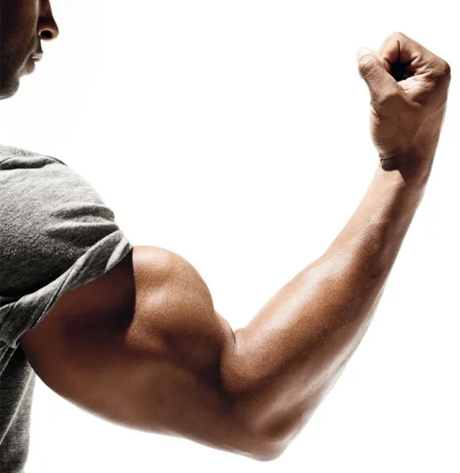 إليك أبرز النصائح في بناء العضلات
