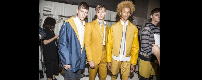 الاصفر نجم الخزانة المتجددة