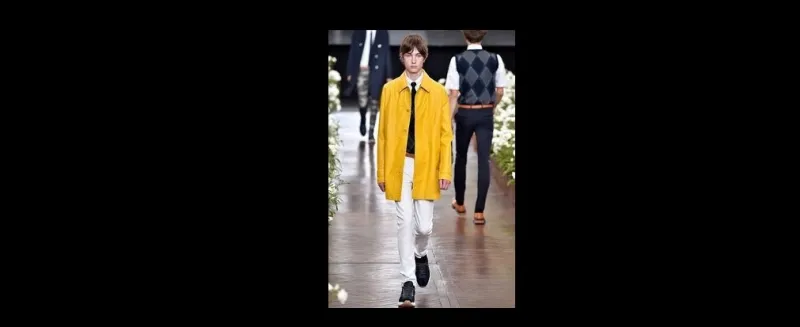 الاصفر نجم الخزانة المتجددة