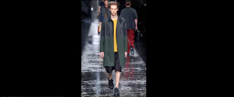 الاصفر نجم الخزانة المتجددة