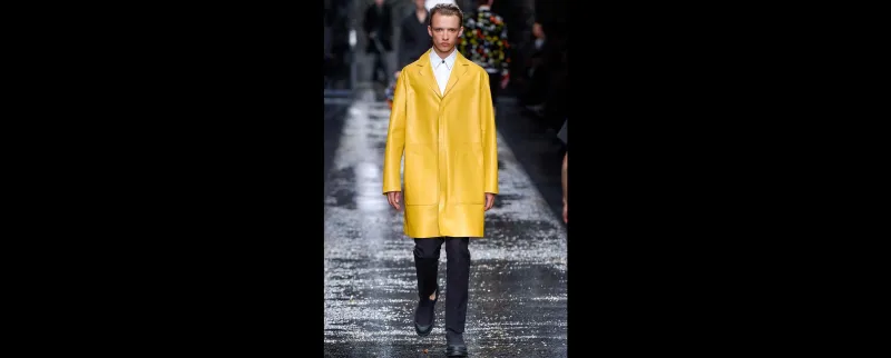 الاصفر نجم الخزانة المتجددة