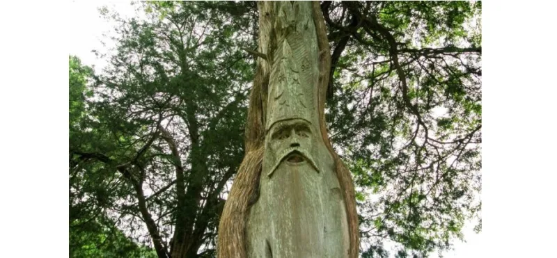 الأشجار المنحوتة في منتزه أور