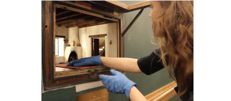 حجرات ثورن المصغرة