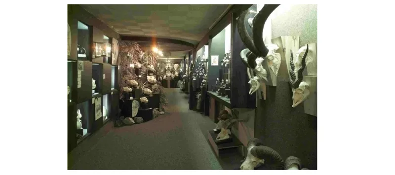 متحف علم الأحياء في مدريد