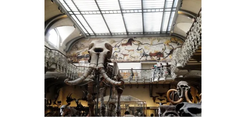 متحف علم الأحياء في مدريد