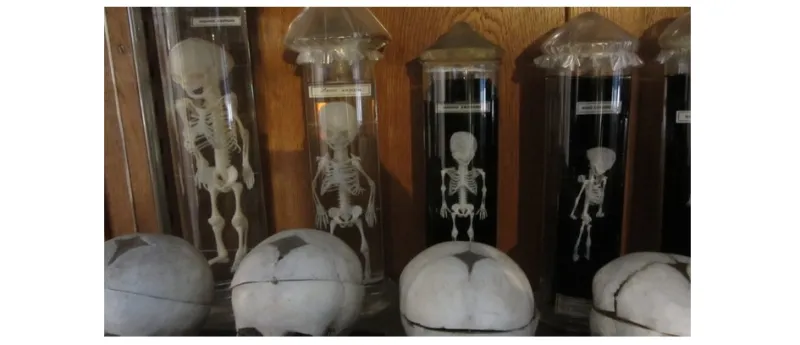 متحف علم الأحياء في مدريد