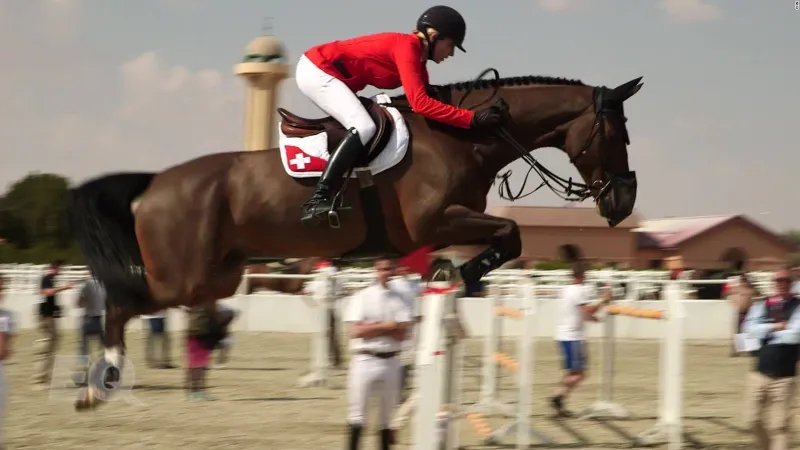 للأغنياء فقط.. رياضات لا يمارسها سوى النخبة (صور)