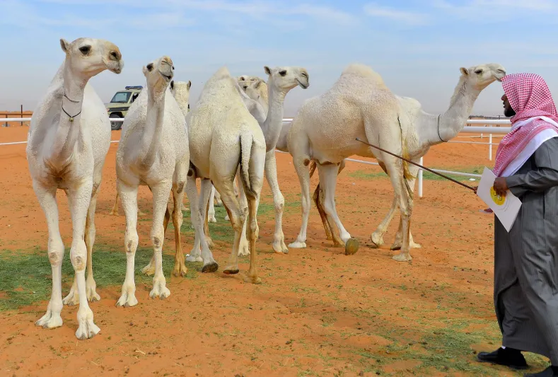 لماذا اشترى سعودي جميع ممتلكات ورثة صديقه