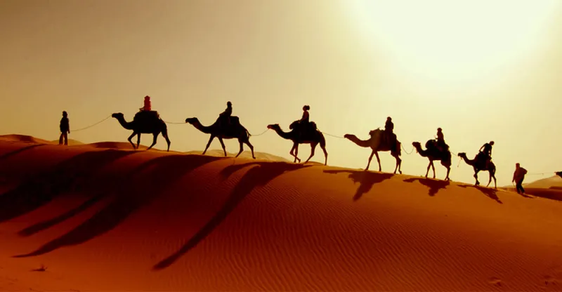 دليلك الشامل لزيارة أبو ظبي (صور)